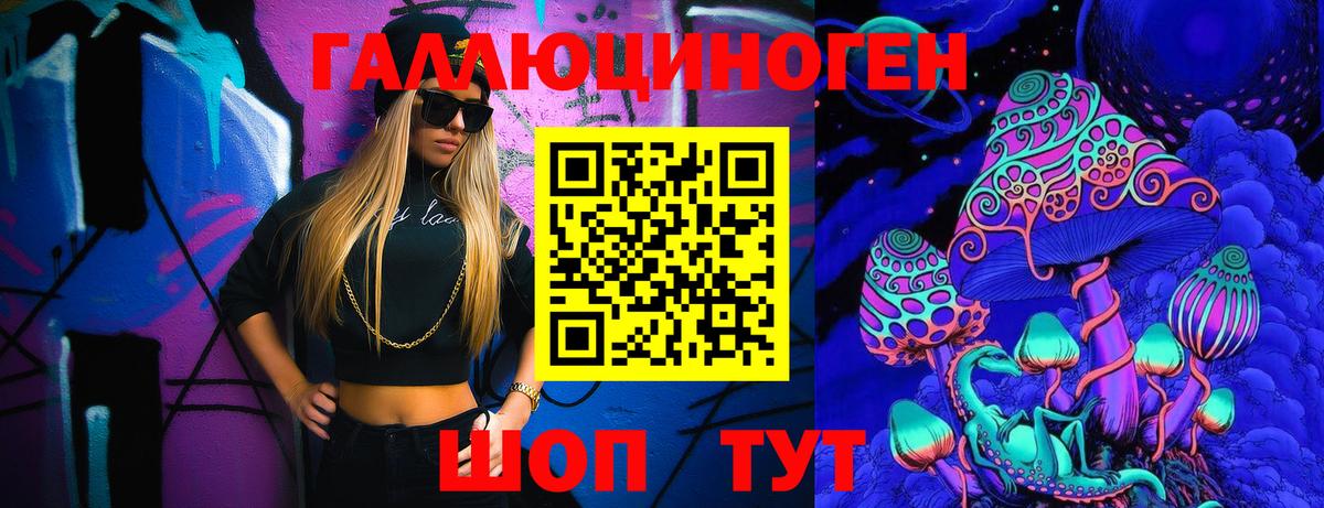 Галлюциногенные грибы Psilocybe Звенигород